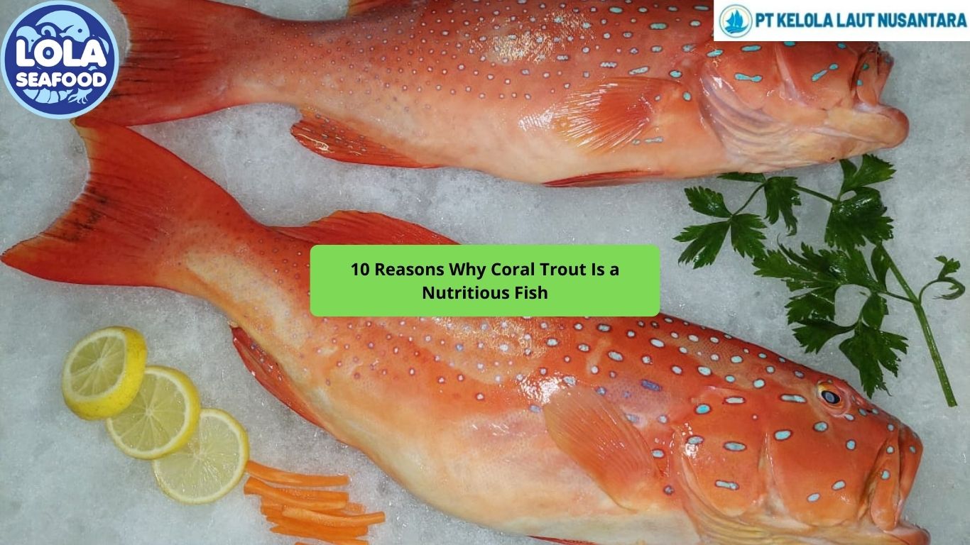 10 Reasons Why Coral Trout Is a Nutritious Fish